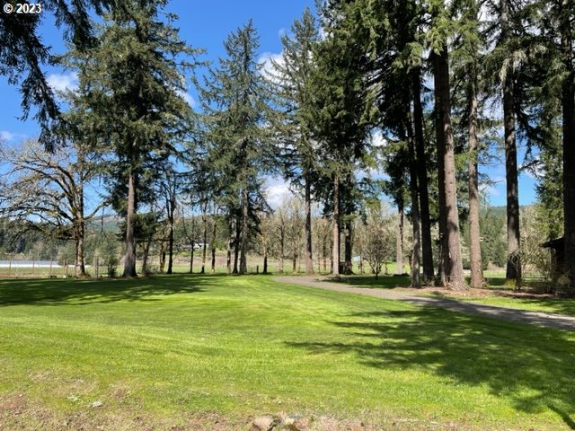 40553 Little Fall Creek Road Fall Creek, OR 97438 - Photo 28 of 28 a huge green field with lots of trees