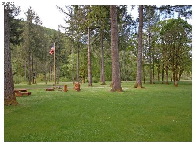 40553 Little Fall Creek Road Fall Creek, OR 97438 - Photo 3 of 28 a view of a park with large trees