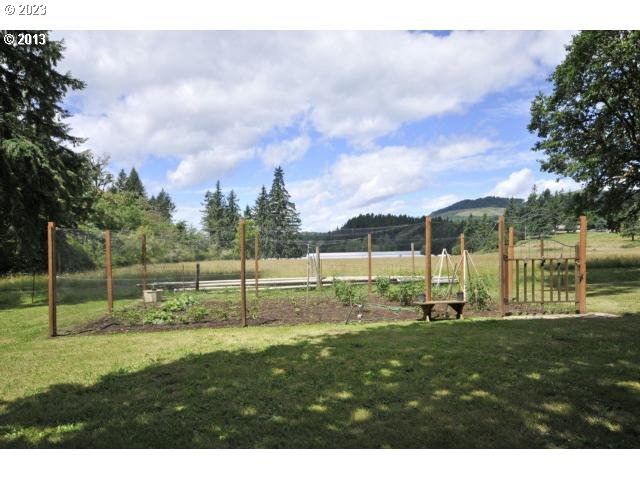 40553 Little Fall Creek Road Fall Creek, OR 97438 - Photo 4 of 28 a view of a park
