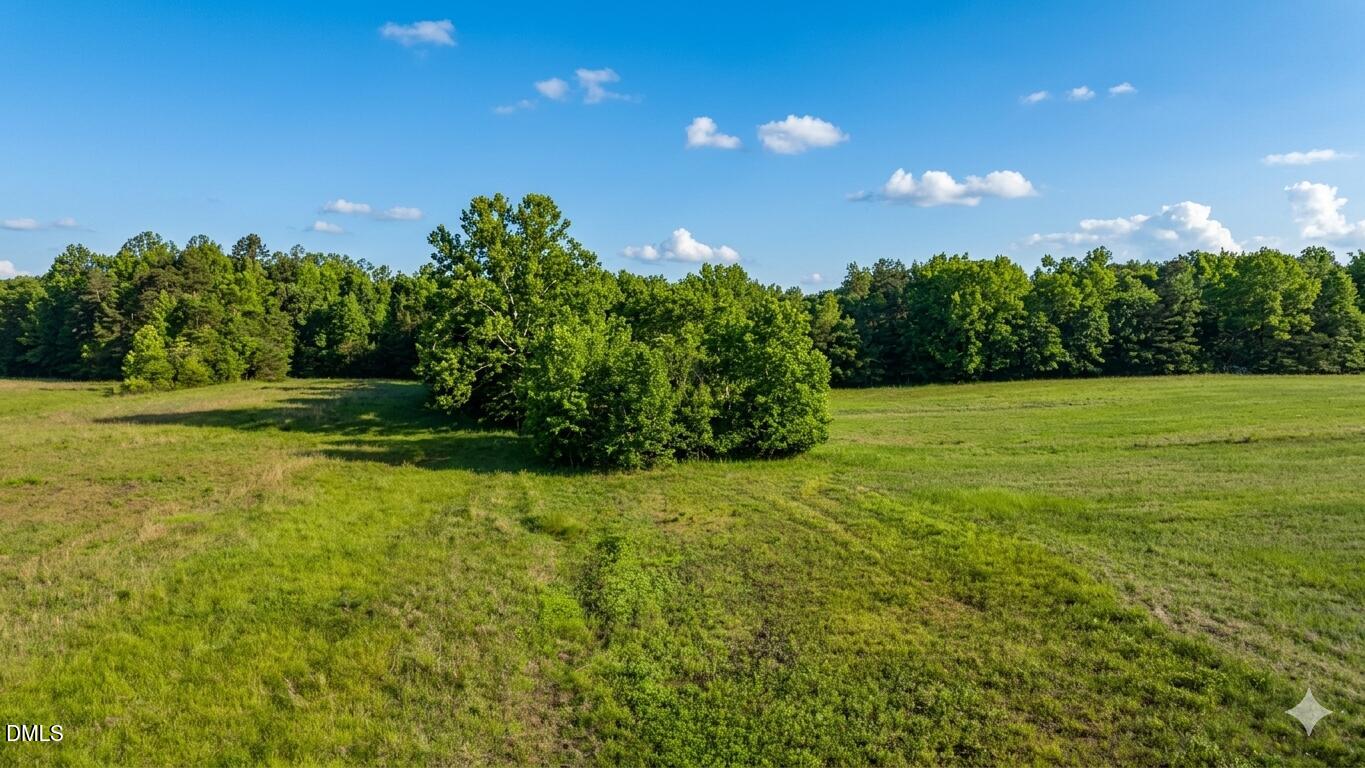 1 George Miles Road New Hill, NC 27562 - Photo 10 of 10
