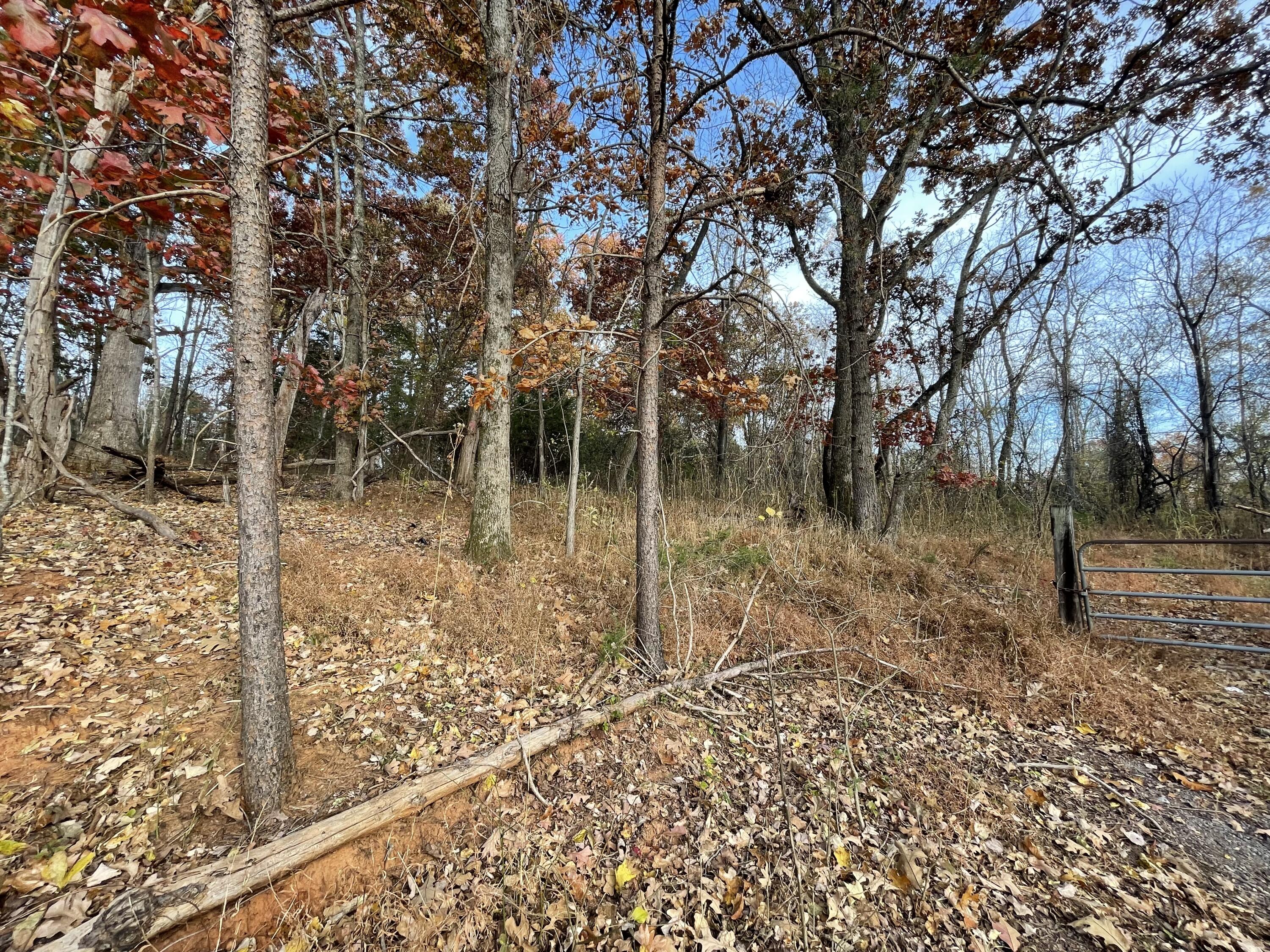 0 Five Forks Road Bedford, VA 24523 - Photo 11 of 11 a backyard of a house with lots of green space