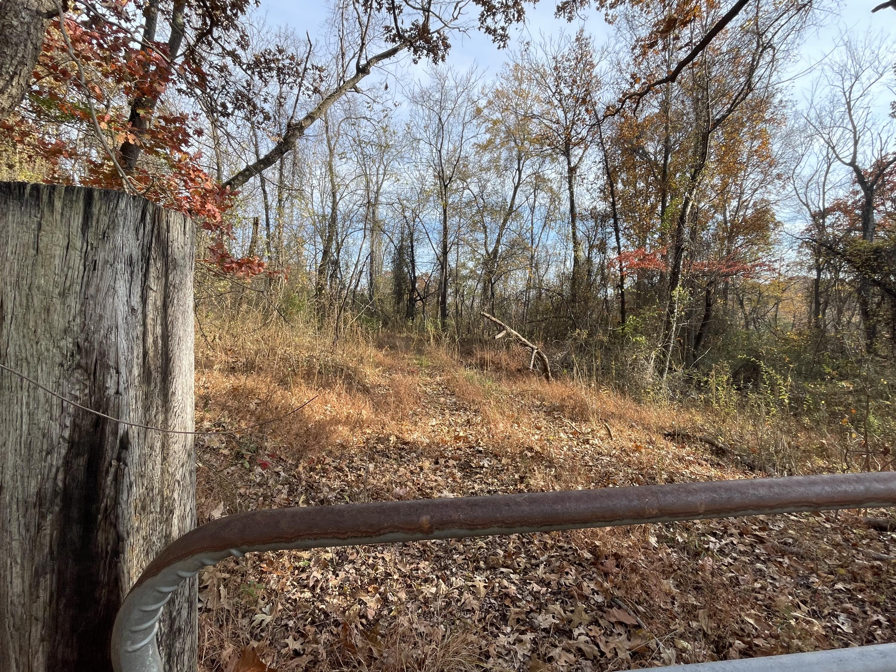 0 Five Forks Road Bedford, VA 24523 - Photo 2 of 11 a view of backyard with green space