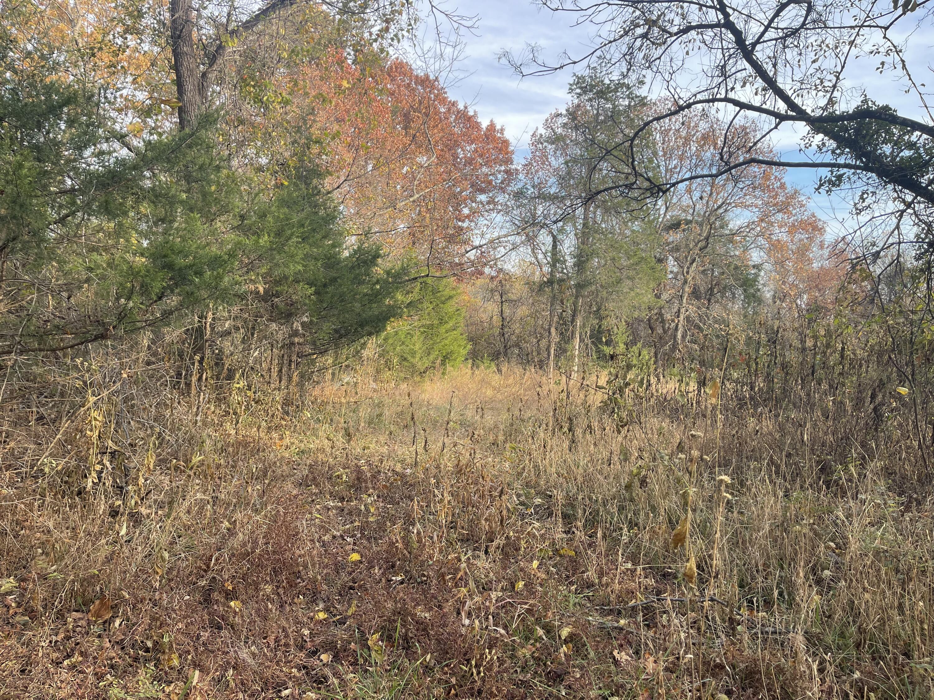 0 Five Forks Road Bedford, VA 24523 - Photo 5 of 11