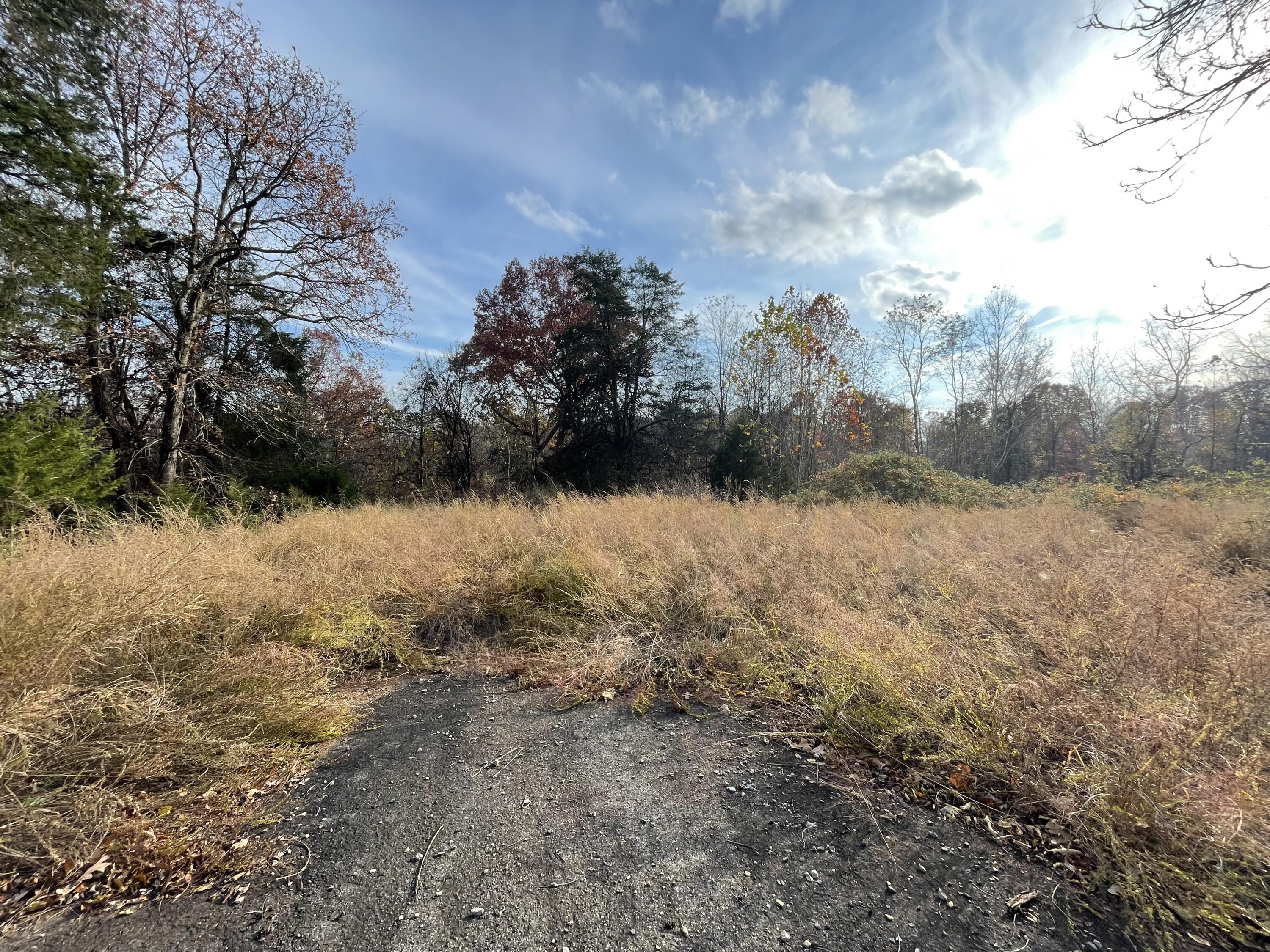 0 Five Forks Road Bedford, VA 24523 - Photo 7 of 11 a view of a yard covered in snow