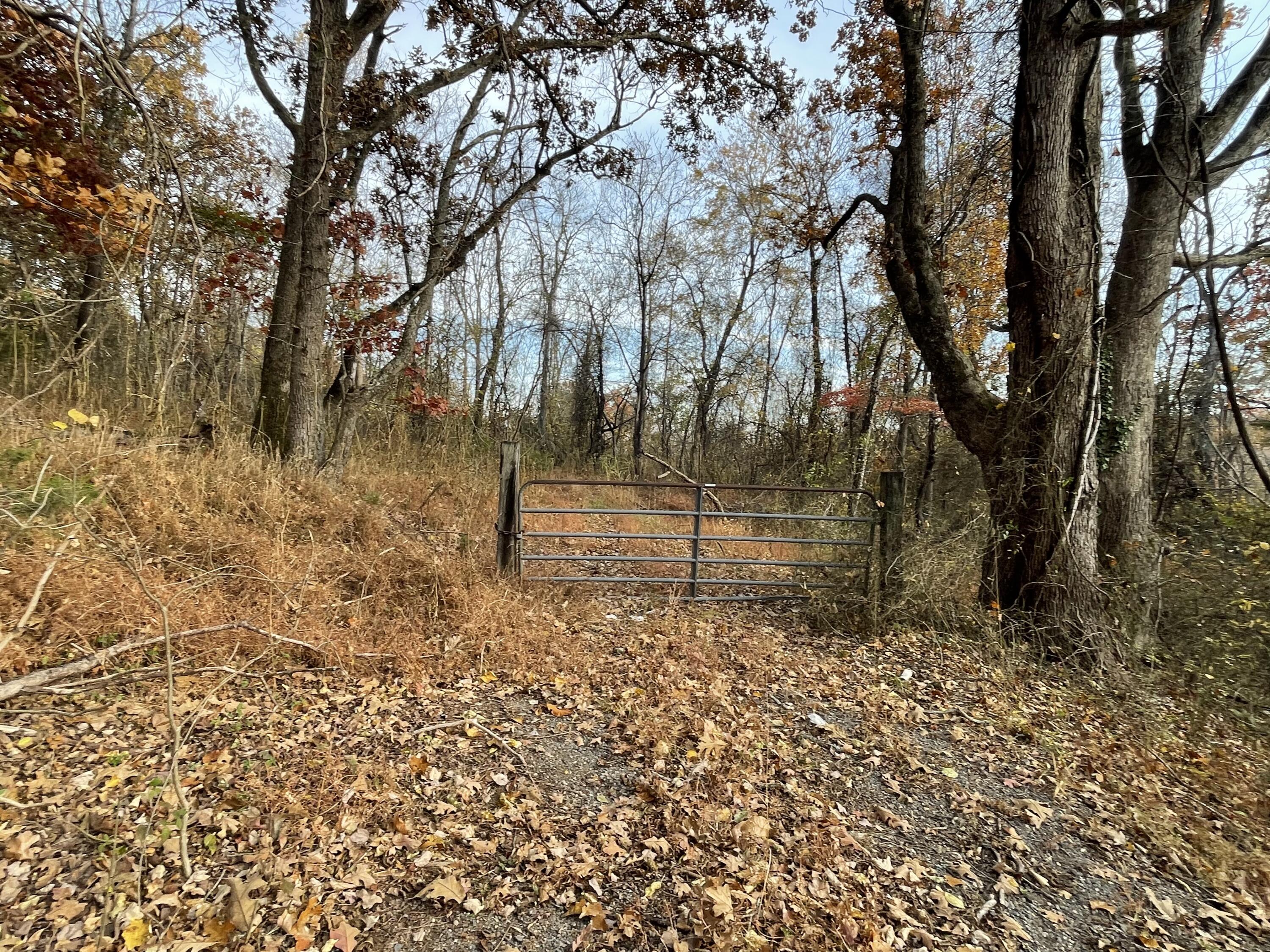0 Five Forks Road Bedford, VA 24523 - Photo 10 of 11 a view of backyard with tree