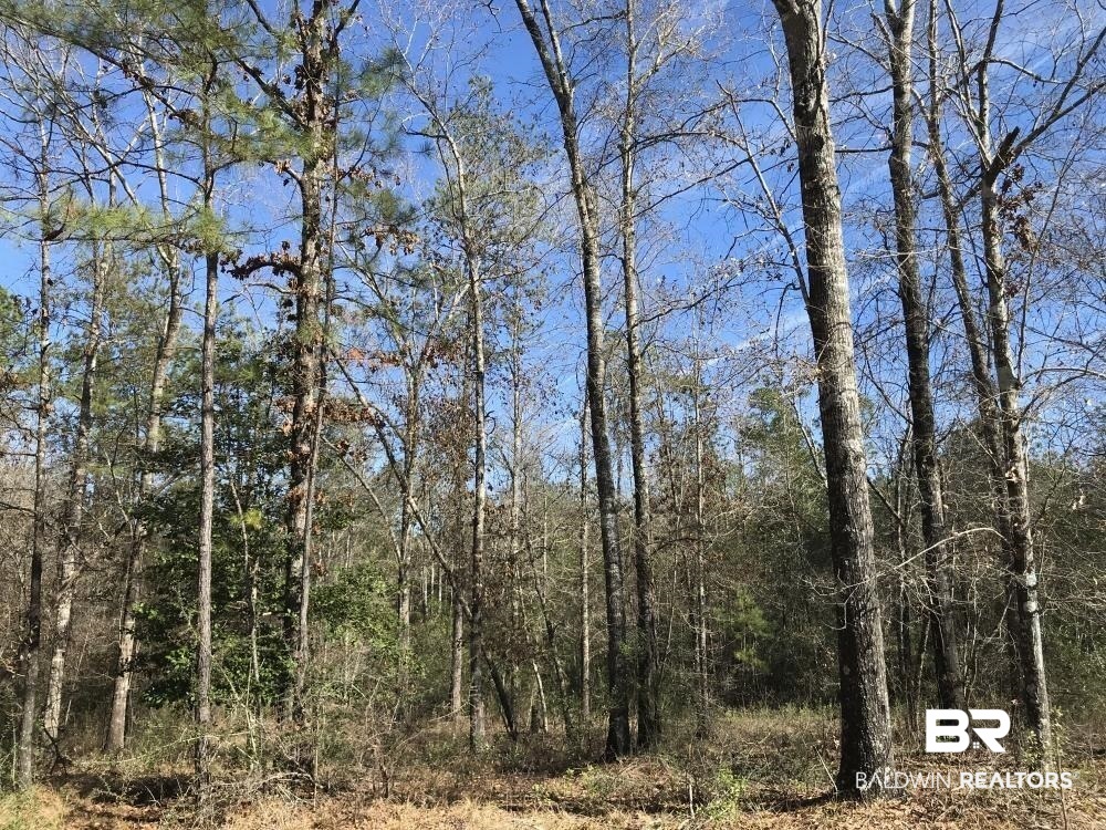 0 Private Road Citronelle, AL 36522 - Photo 17 of 27