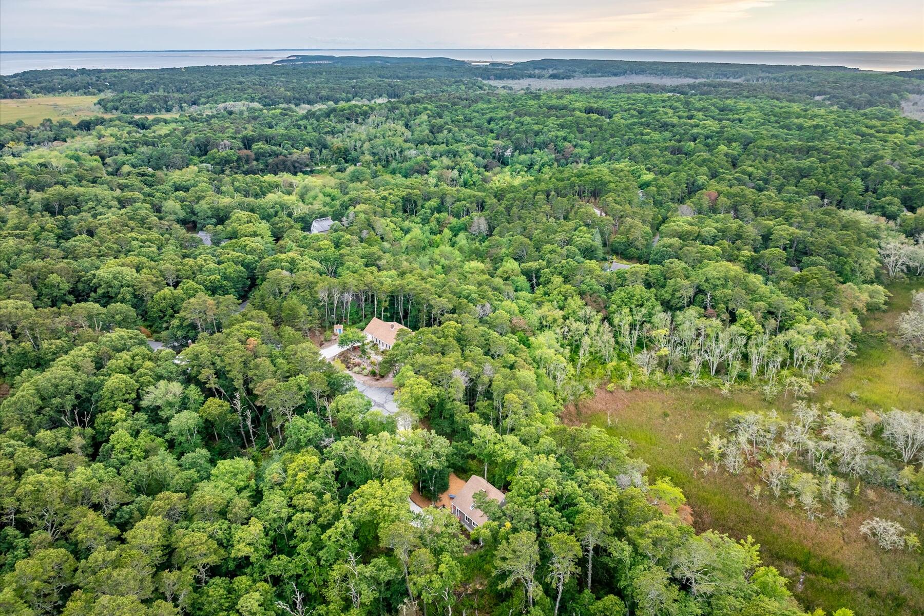 36 Cranberry Way Wellfleet, MA 02667 - Photo 54 of 64 a view of a big yard with plants and large tree