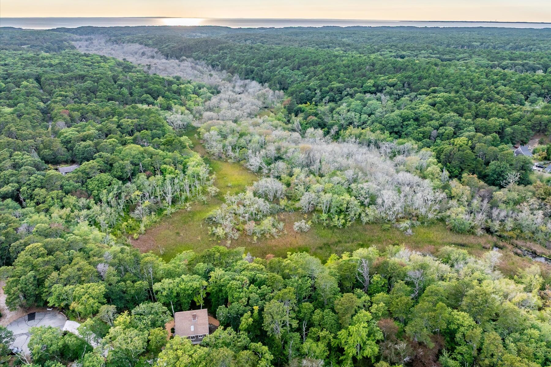 36 Cranberry Way Wellfleet, MA 02667 - Photo 55 of 64 a view of a lush green forest with trees and some houses