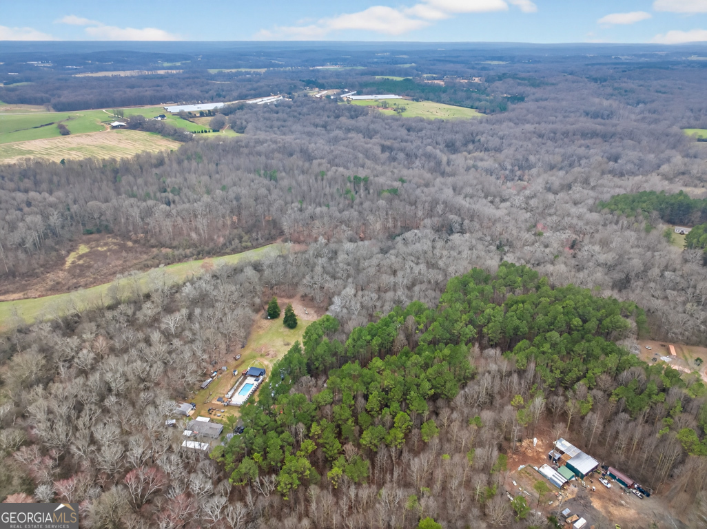 1719 Harber Road Carnesville, GA 30521 - Photo 4 of 53 a view of an outdoor space and a yard