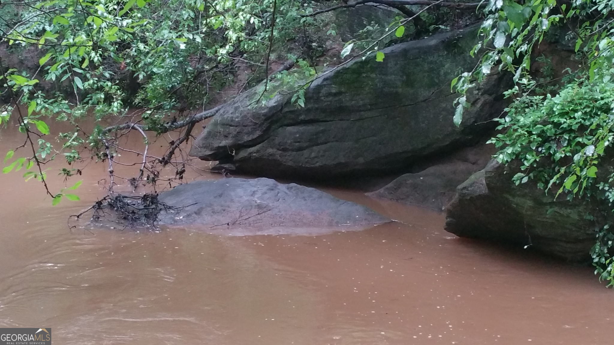 1719 Harber Road Carnesville, GA 30521 - Photo 50 of 51