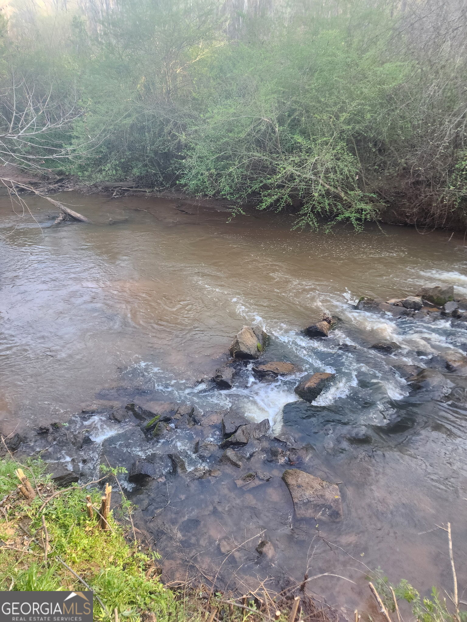 1719 Harber Road Carnesville, GA 30521 - Photo 52 of 53 a view of a dry yard with trees
