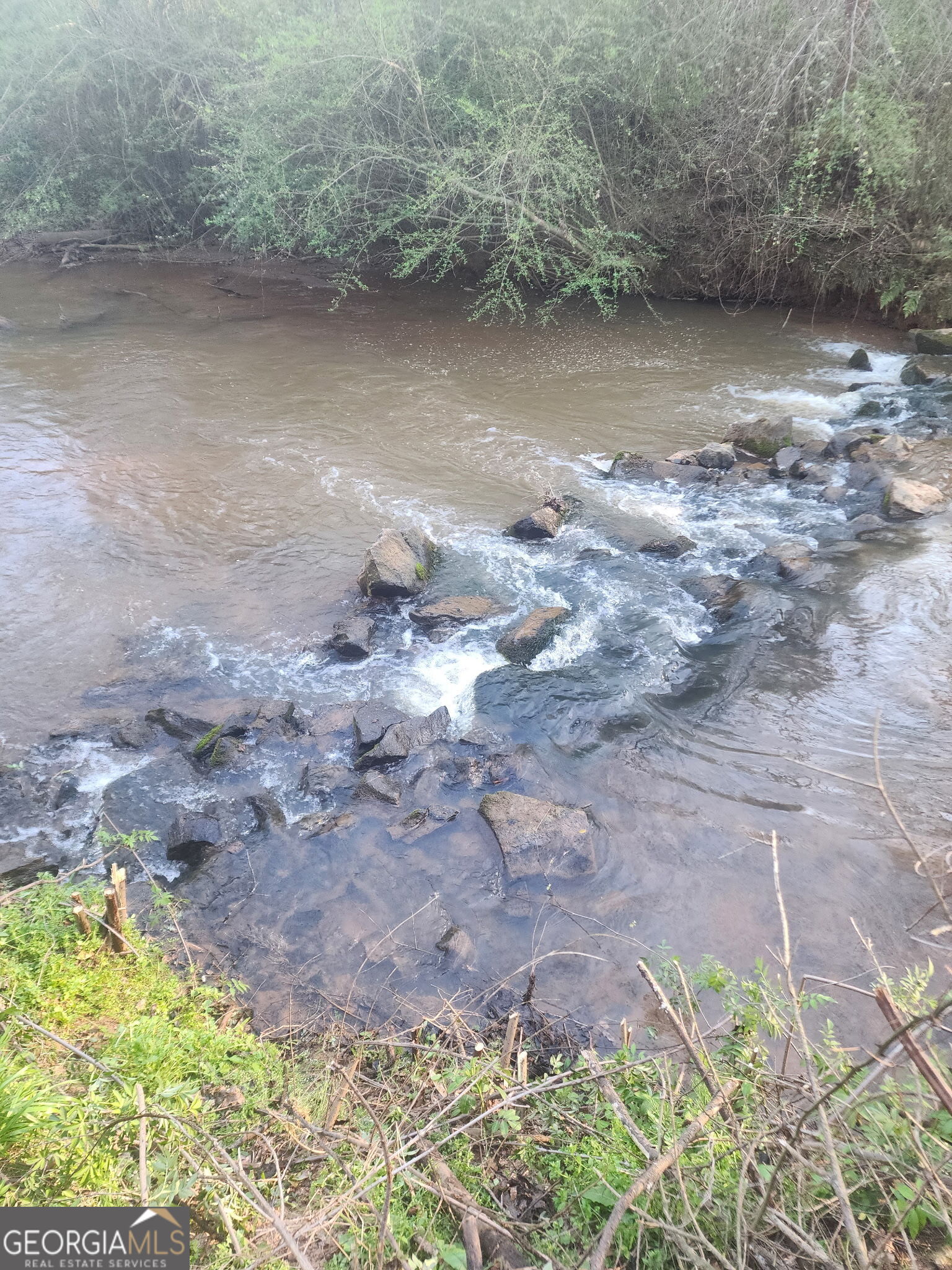1719 Harber Road Carnesville, GA 30521 - Photo 53 of 53 a view of a dry yard with wooden floor