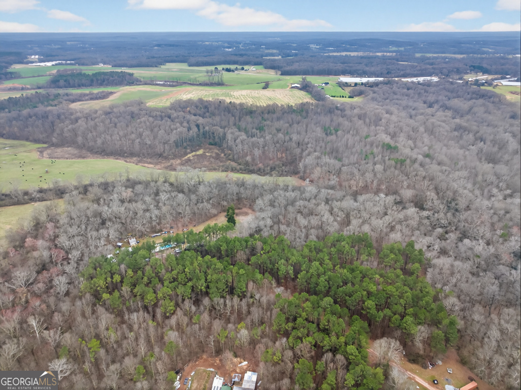 1719 Harber Road Carnesville, GA 30521 - Photo 6 of 53 a view of a yard with a house
