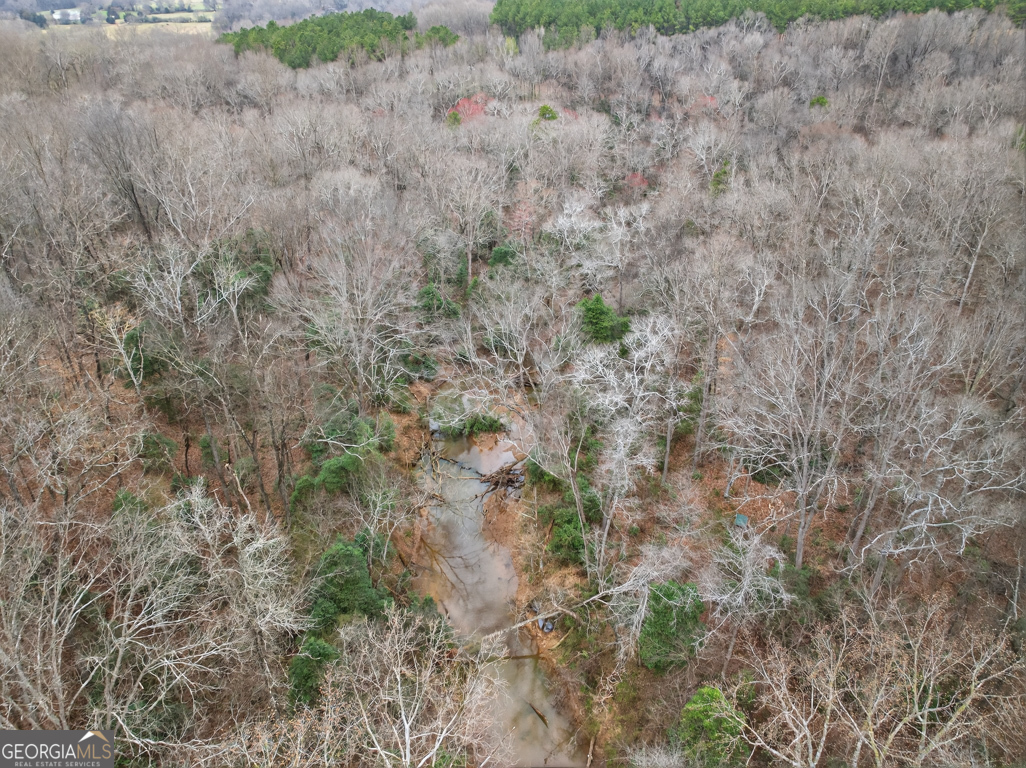 1719 Harber Road Carnesville, GA 30521 - Photo 10 of 53 a view of a dry yard with green space