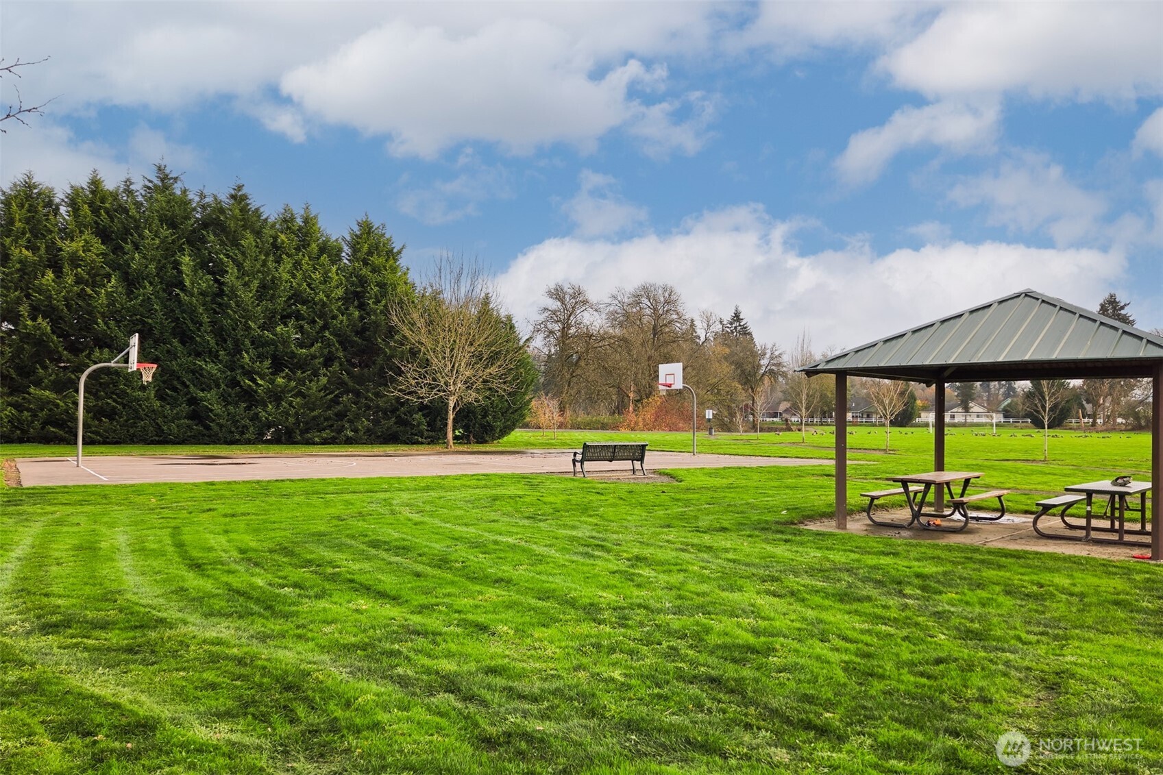 2026 Henderson Way Longview, WA 98632 - Photo 12 of 12 a view of a park with large trees