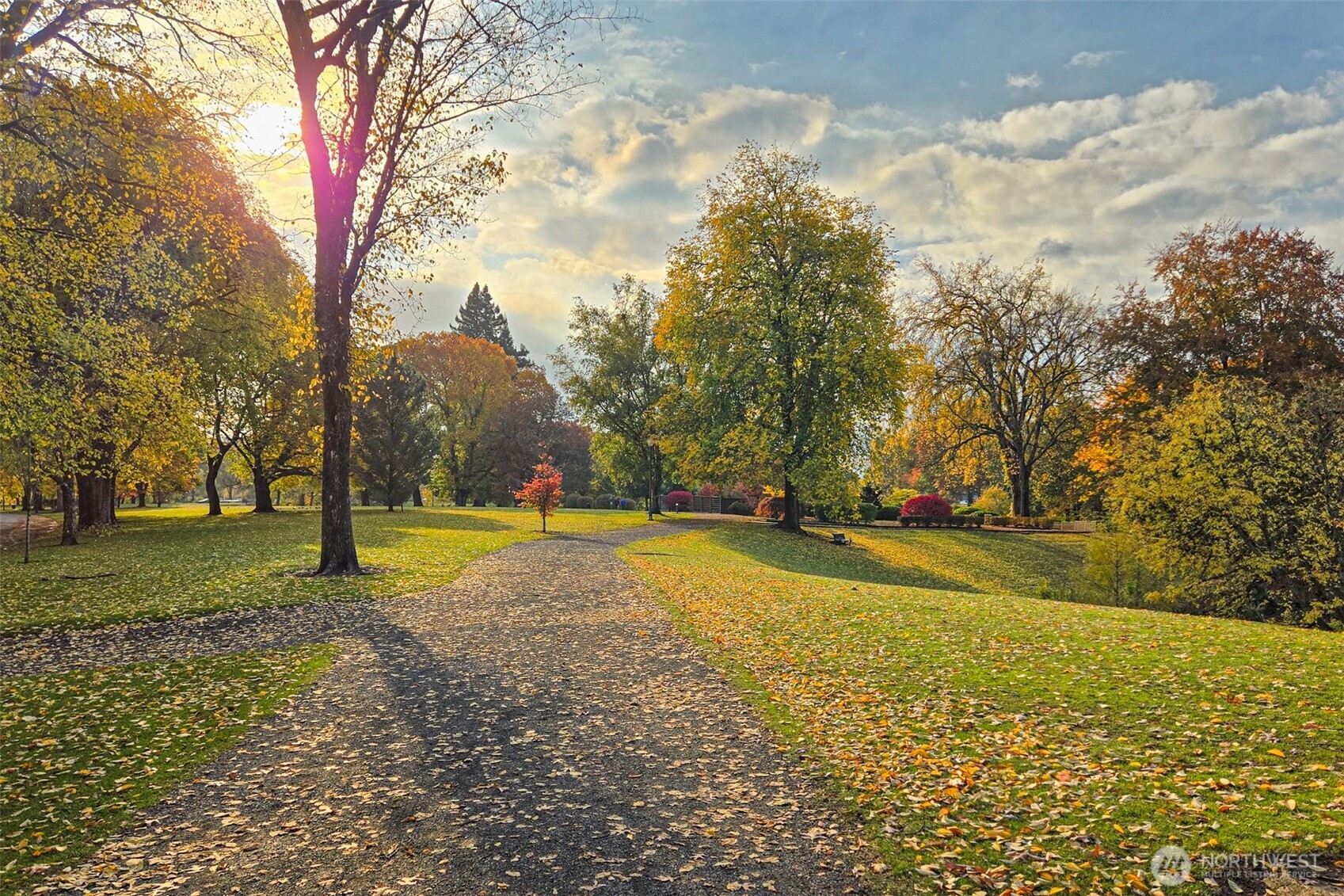 2026 Henderson Way Longview, WA 98632 - Photo 10 of 12 a view of a playground with basketball court