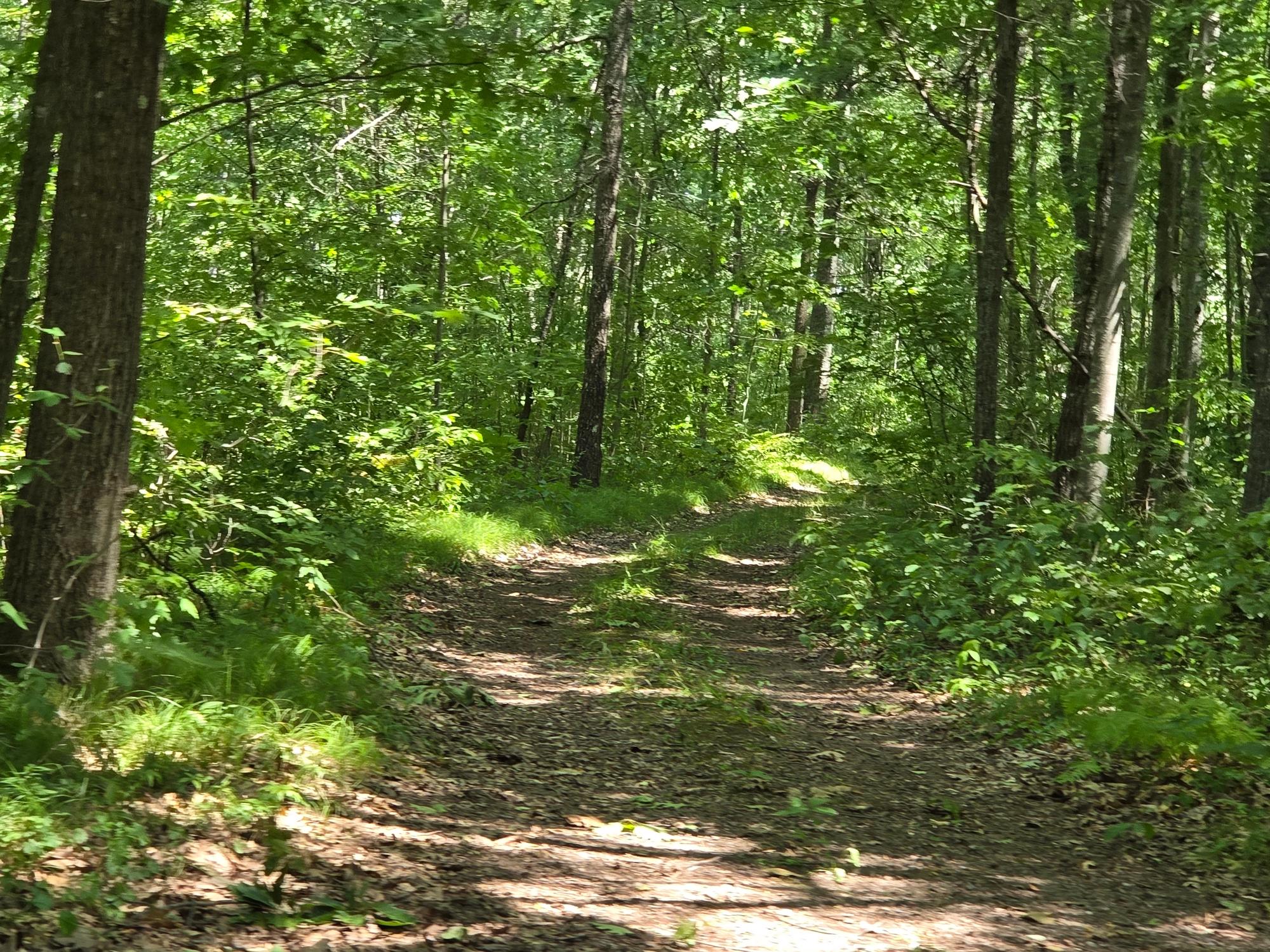 On Oakridge Road Harshaw, WI 54529 - Photo 50 of 75