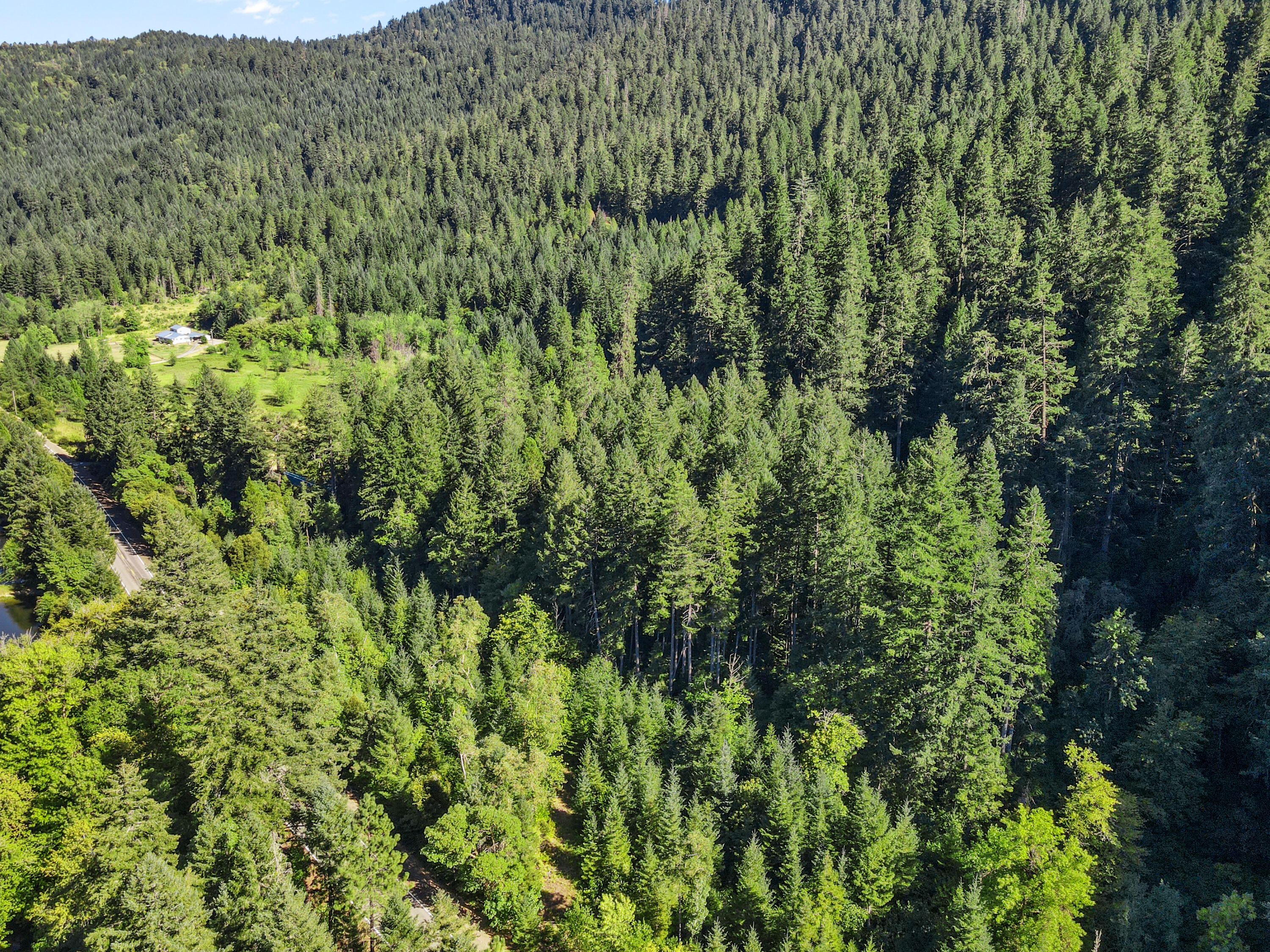 0 Mt Reuben Road Glendale, OR 97442 - Photo 2 of 7 dji_fly_20250725_165758_758_175348795092