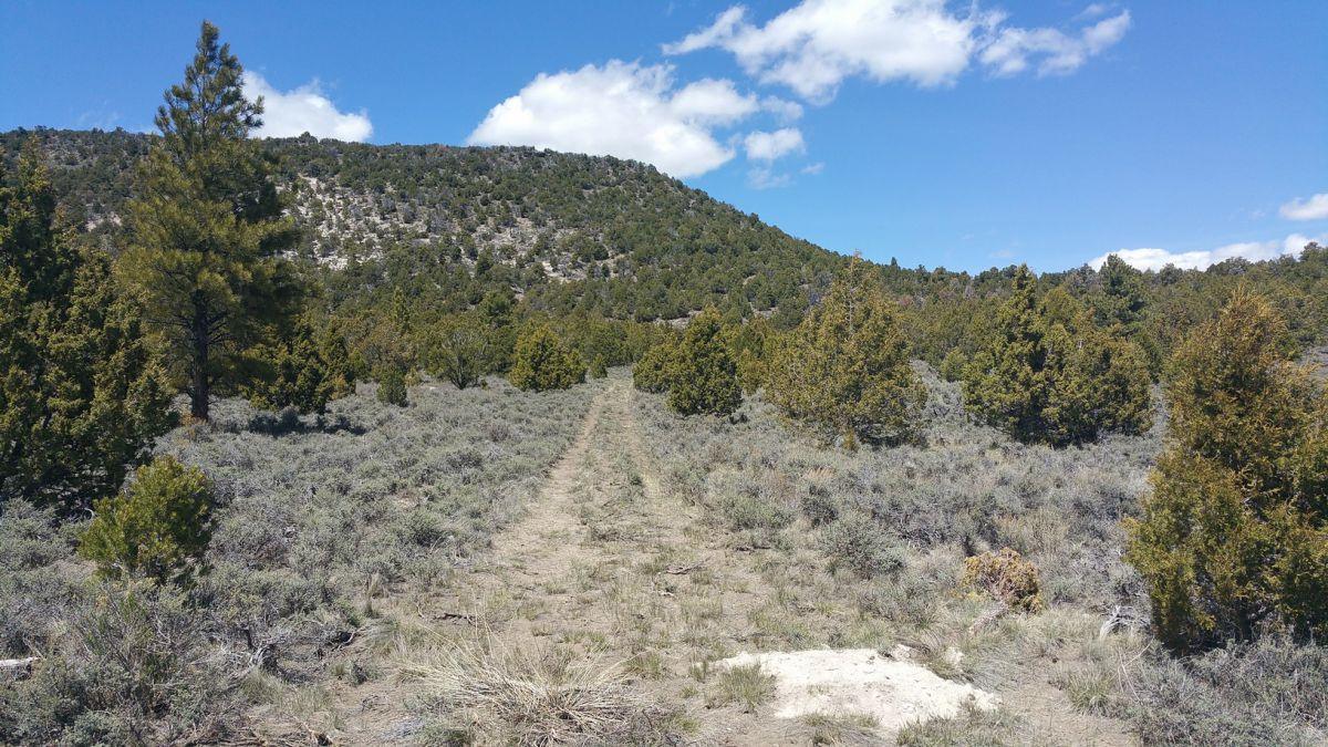 4-t 36 South R6w Hatch, UT 84735 - Photo 1 of 1 Main Picture