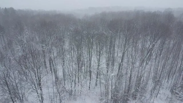 $875,000 | 8903 Maidens Road, Bear Lake, MI 49614