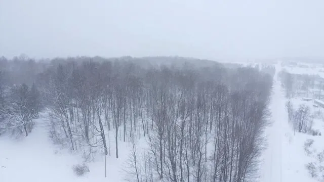 $875,000 | 8903 Maidens Road, Bear Lake, MI 49614