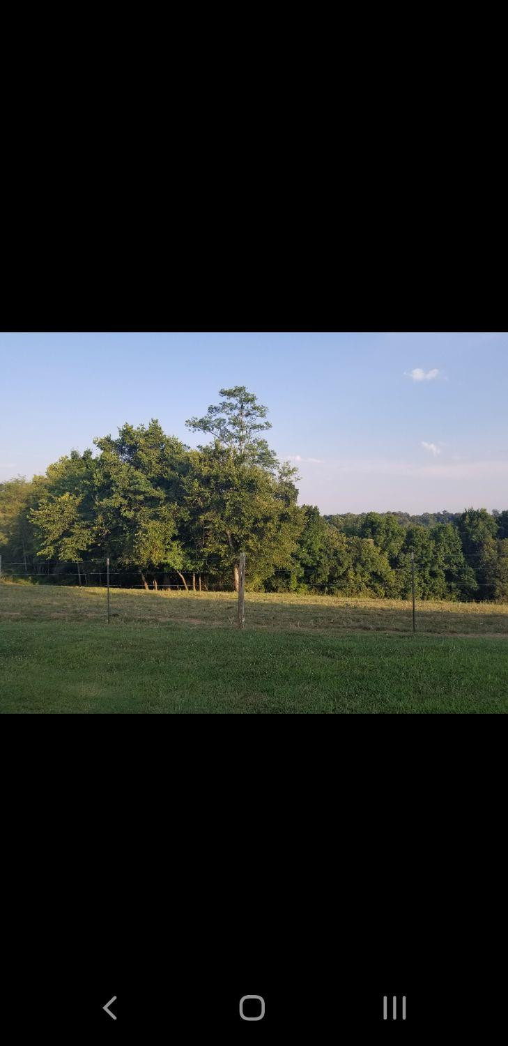 8241 Buckeye Road Lancaster, KY 40444 - Photo 26 of 69 Photo 26