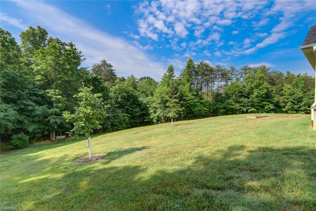 476 Vernon Road Reidsville, NC 27320 - Photo 34 of 47