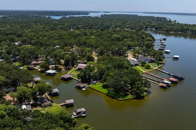 an aerial view of green landscape with trees houses and lake view