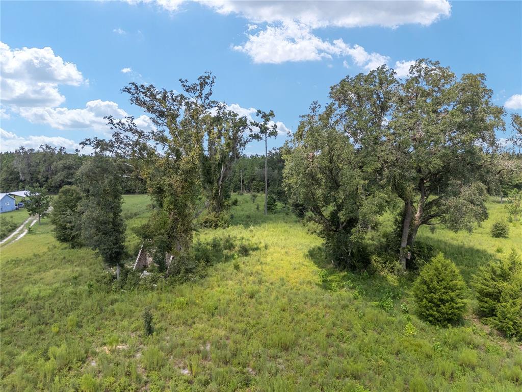 Tbd Northwest 264th Way High Springs, FL 32643 - Photo 11 of 16 a view of a lush green forest with lots of trees