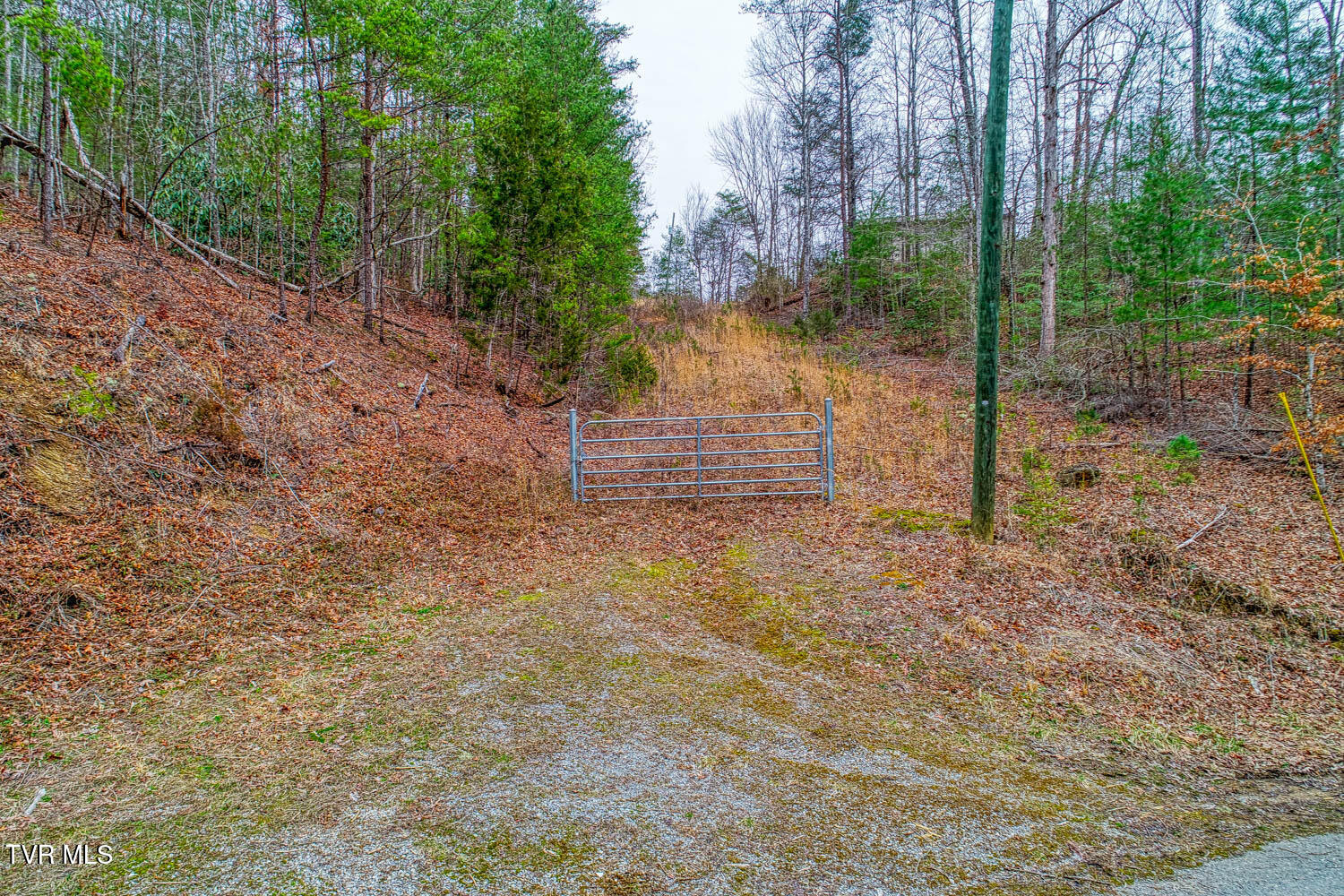 Tbd Stinnett Ridge Road Cosby, TN 37722 - Photo 3 of 24 Stinnett Ridge. Cosby MLSa (3 of 24)