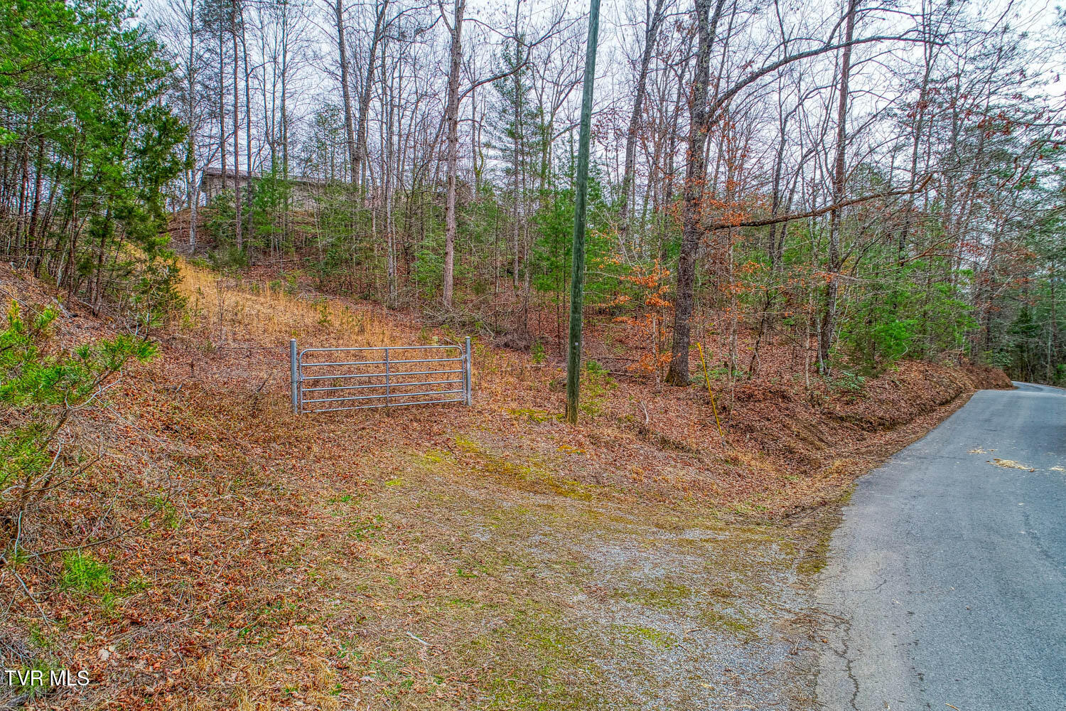 Tbd Stinnett Ridge Road Cosby, TN 37722 - Photo 6 of 24 Stinnett Ridge. Cosby MLSa (6 of 24)