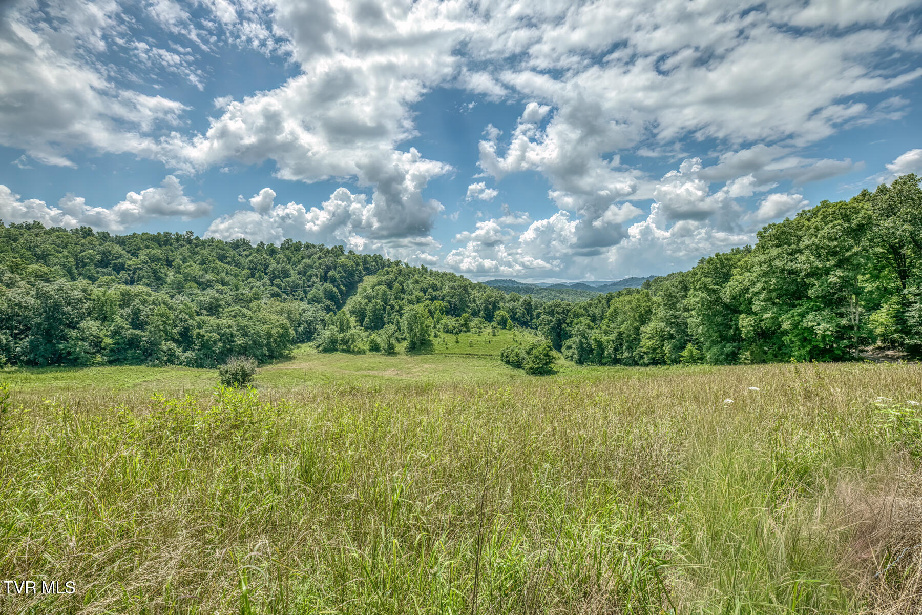 2083 Bundren Mountain Road Tazewell, TN 37879 - Photo 19 of 42 2083 Bundren Mountain Rd-32