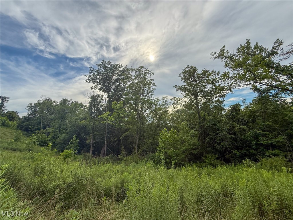 Sand Hill Road Bellaire, OH 43906 - Photo 6 of 34 View of wooded area