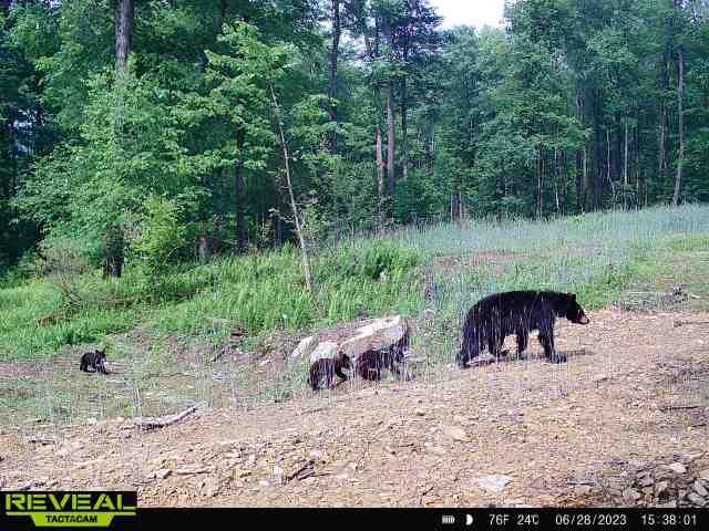 1-2 &7b County Line Road Venus, PA 16364 - Photo 8 of 45 Gallery Image 8