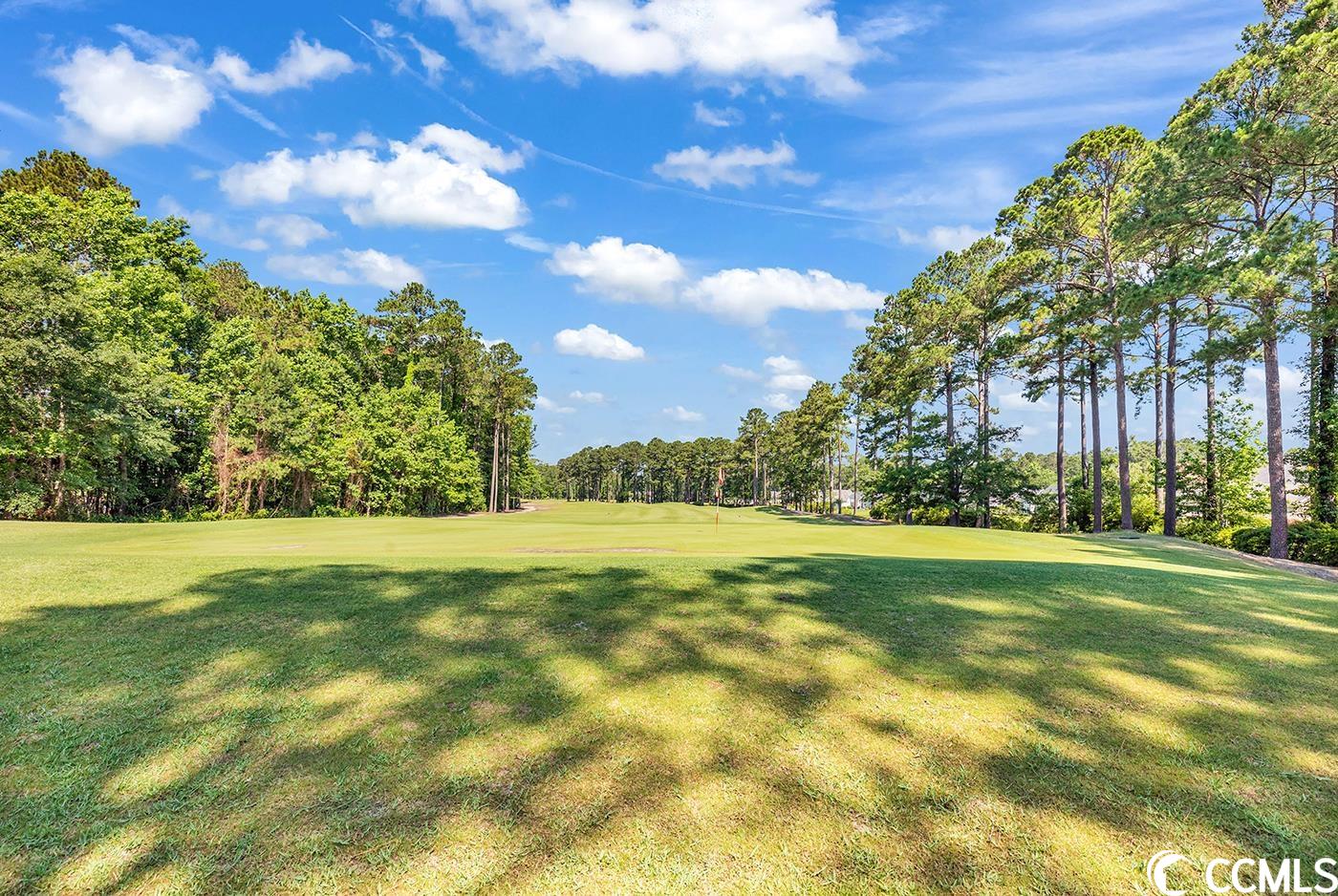 122 Pickering Drive Murrells Inlet, SC 29576 - Photo 25 of 37 Gallery Image 25