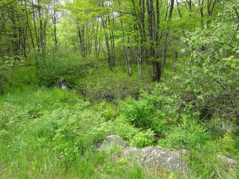 110 Gore Road Oxford, ME 04270 - Photo 11 of 34 Waterfront/Dock/Pier. Greeley Brook...