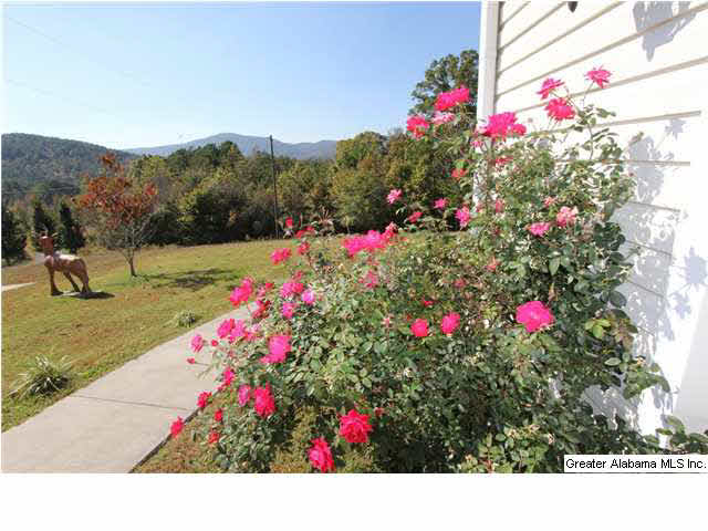 46 Stone Ridge Trail Anniston, AL 36207 - Photo 31 of 32