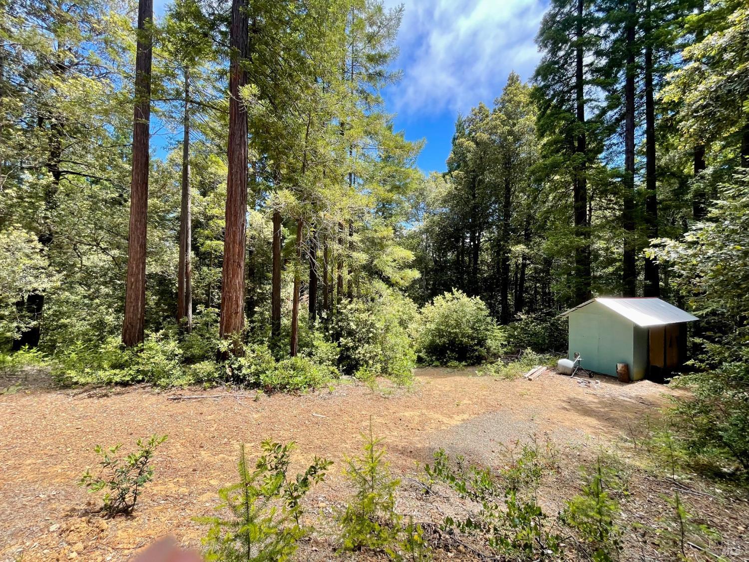 29905 Ten Mile Cut Off Road Gualala, CA 95445 - Photo 20 of 24