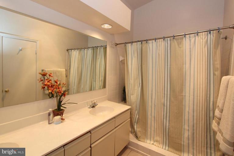 13703 Modrad Way, Unit 32 Silver Spring, MD 20904 - Photo 8 of 16 Bath #1