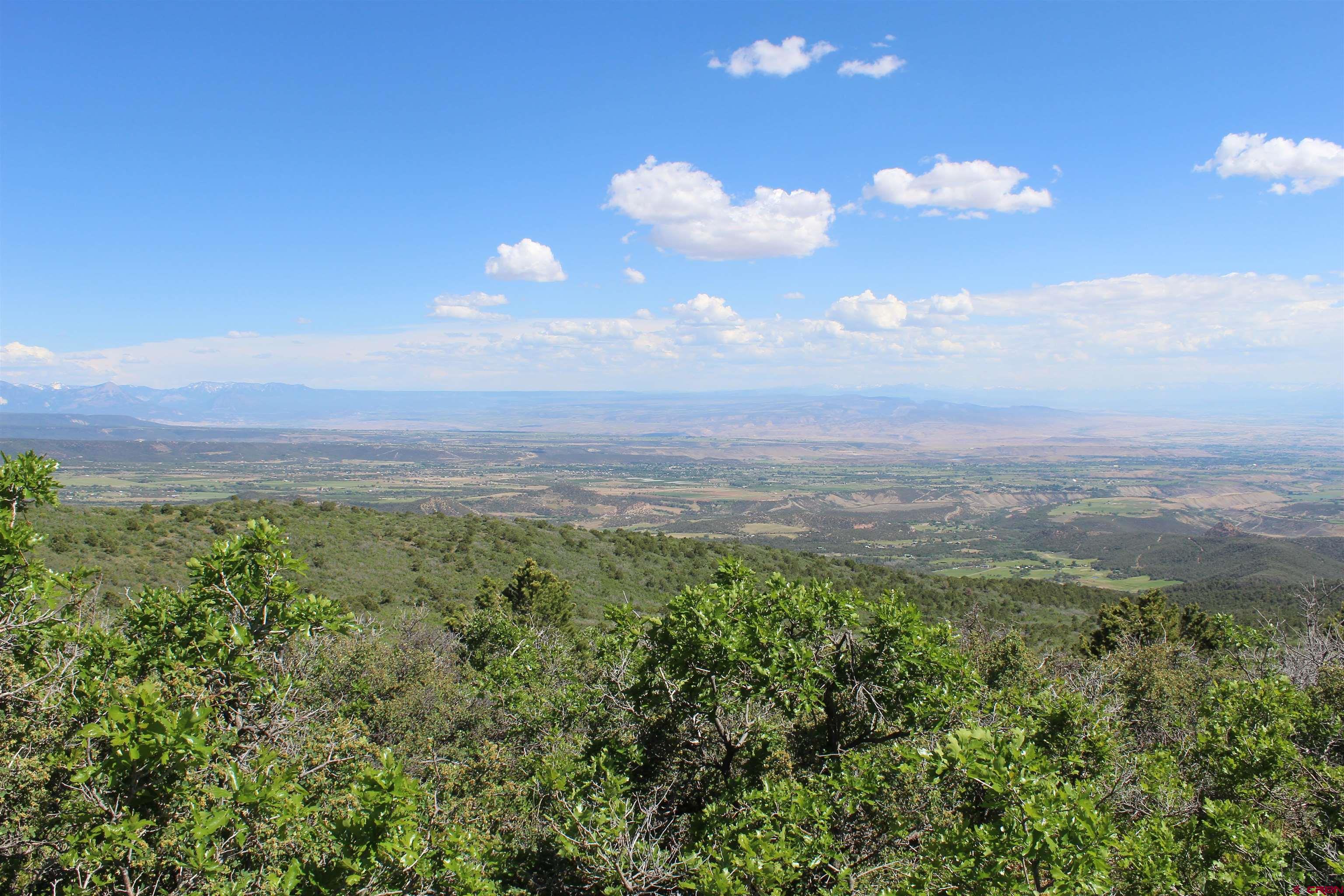 13 West Elk View Cedaredge, CO 81413 - Photo 16 of 31
