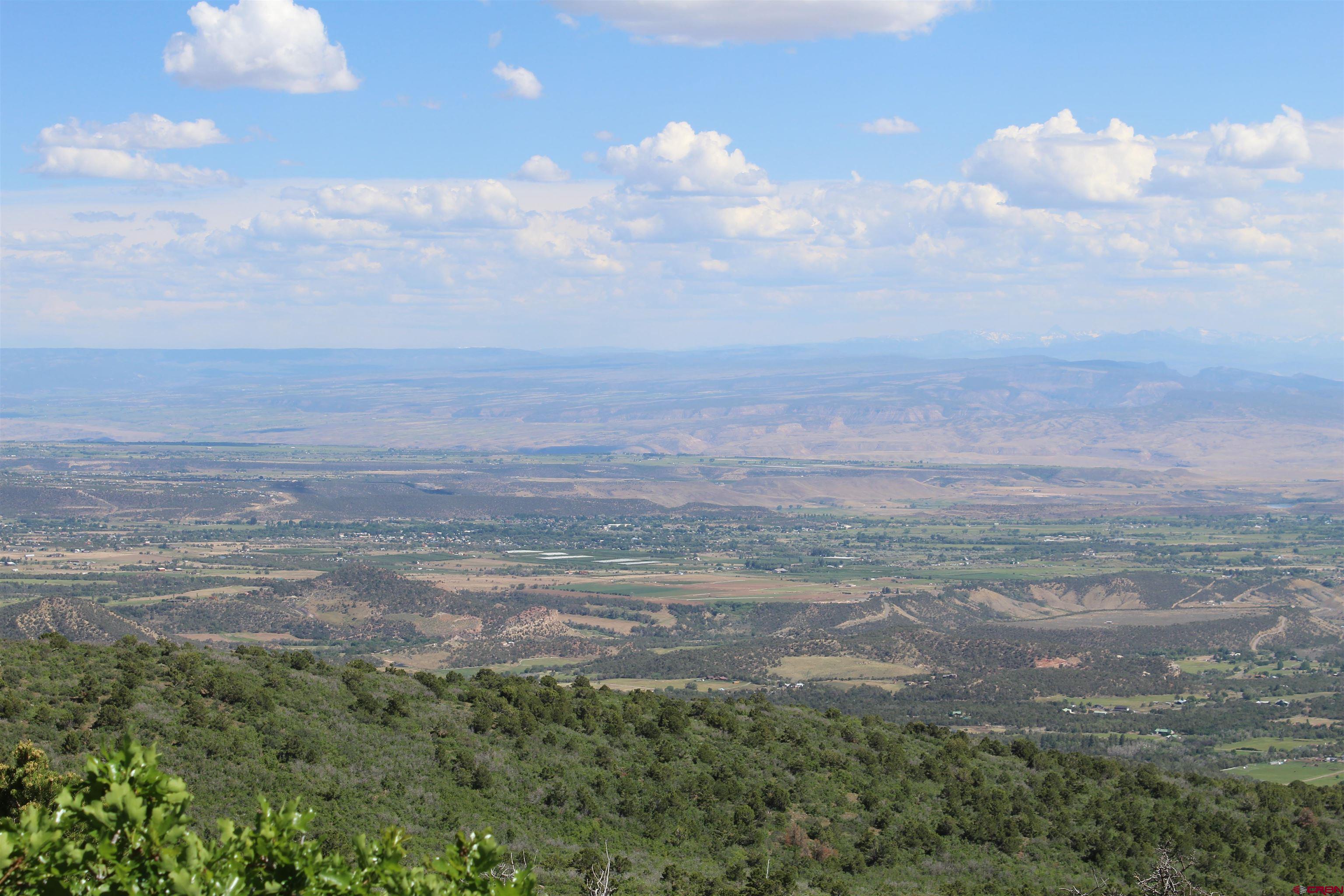 13 West Elk View Cedaredge, CO 81413 - Photo 19 of 31 a view of outdoor space and yard
