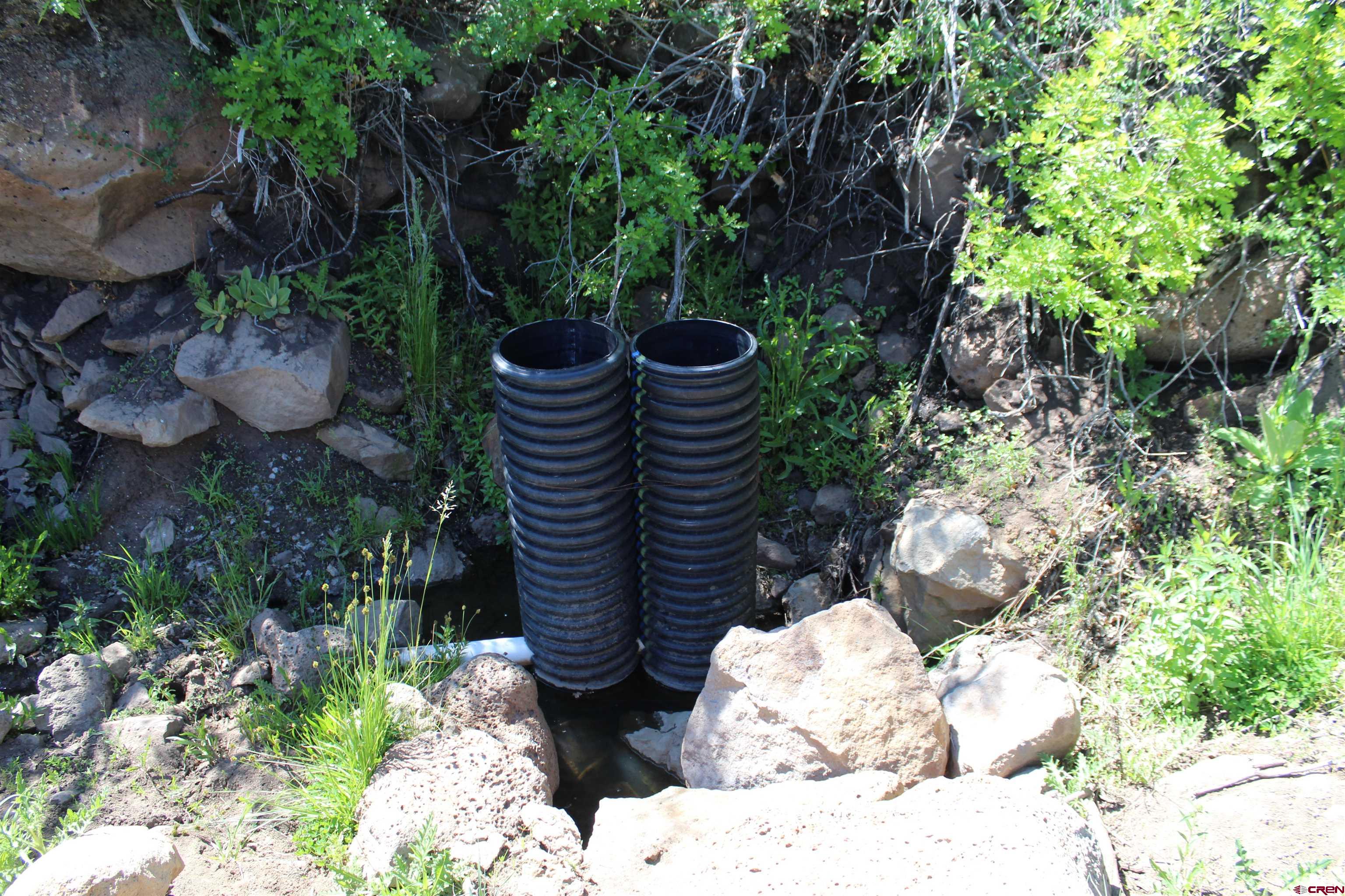 13 West Elk View Cedaredge, CO 81413 - Photo 24 of 31 a view of a backyard with plants and trees