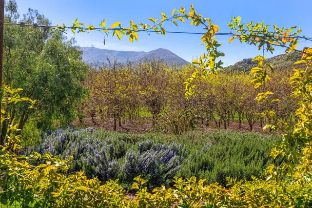 $2,950,000 | 4620 Casitas Pass Road, Ventura, CA 93001