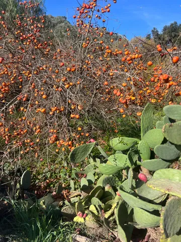 $2,950,000 | 4620 Casitas Pass Road, Ventura, CA 93001