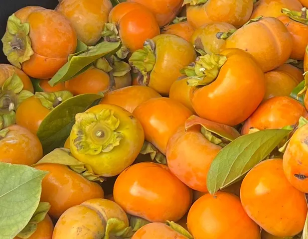 $2,950,000 | 4620 Casitas Pass Road, Ventura, CA 93001