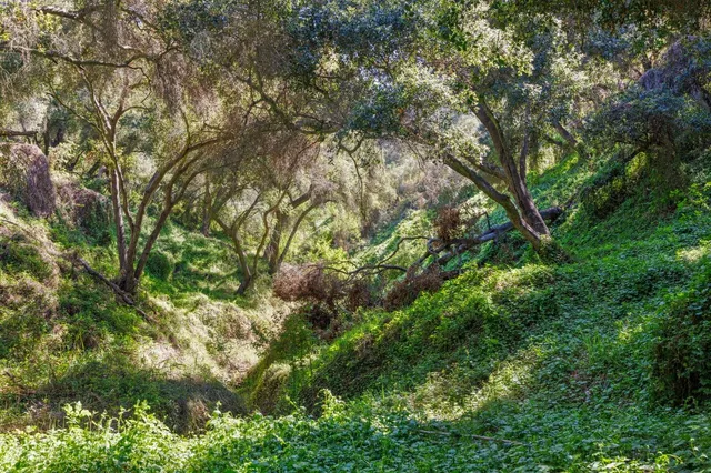 $2,950,000 | 4620 Casitas Pass Road, Ventura, CA 93001