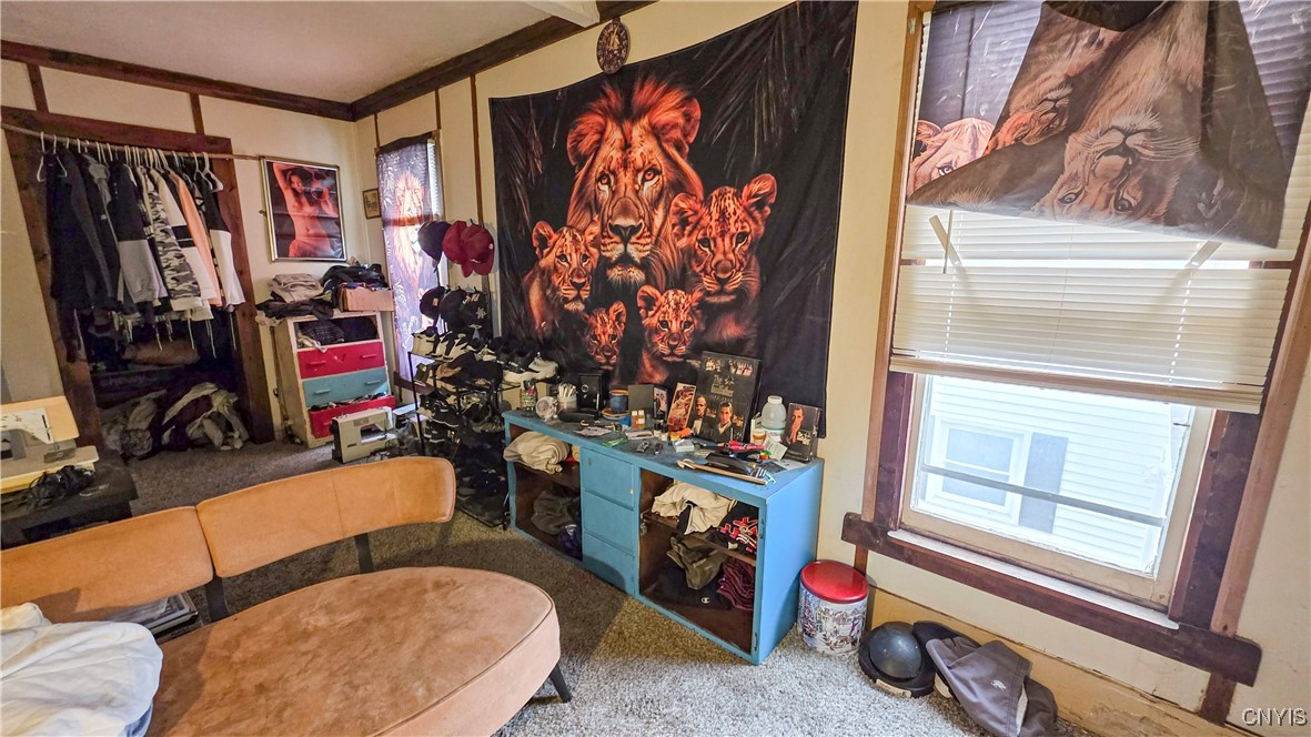 15 Pleasant Street Auburn, NY 13021 - Photo 33 of 46