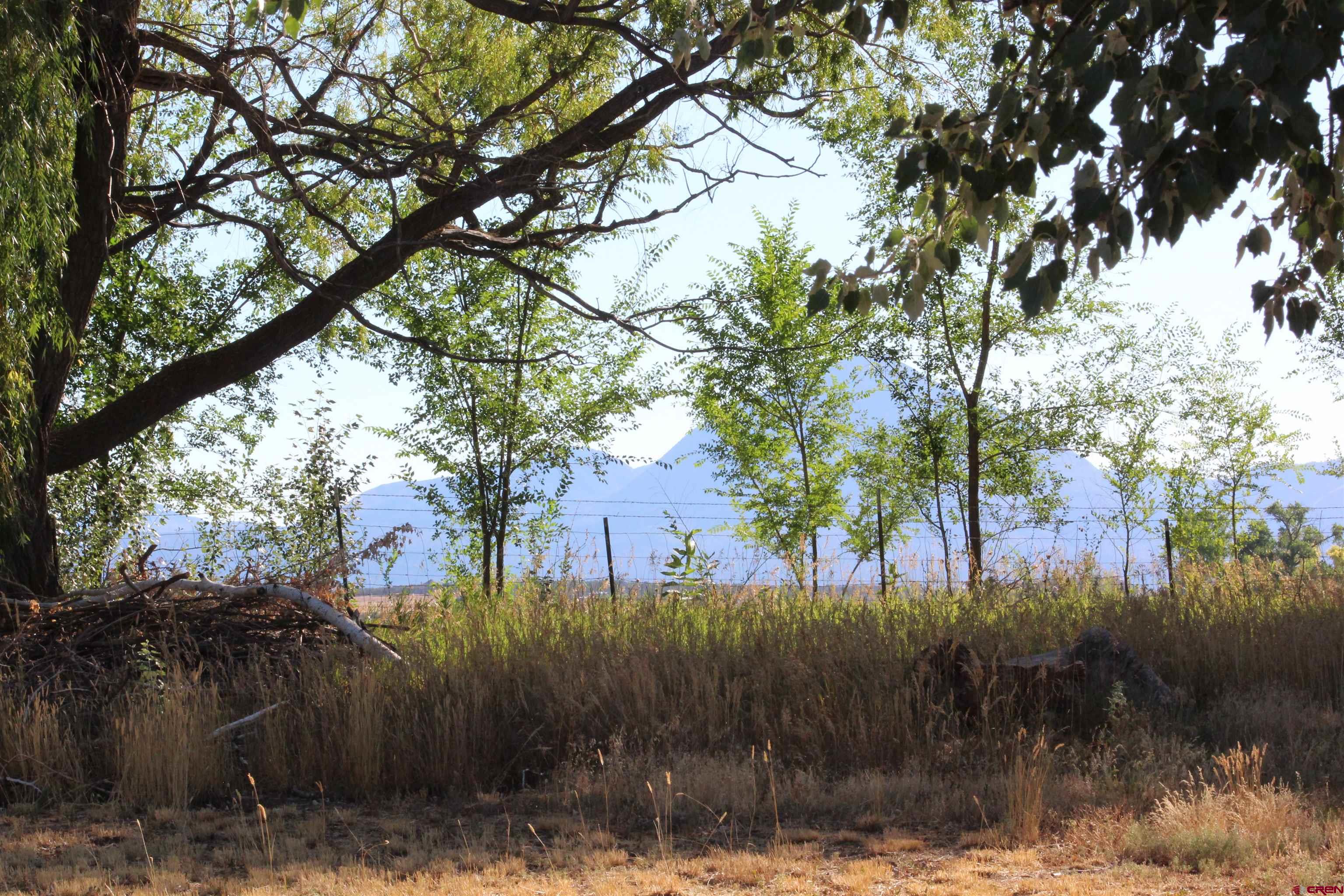 23892 County Rd M Cortez, CO 81321 - Photo 26 of 27 a view of a yard covered with snow in outdoor space