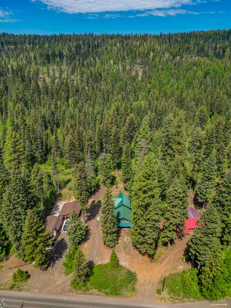 2085 Warren Wagon Road McCall, ID 83638 - Photo 65 of 69