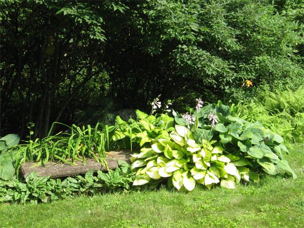 49 East Hill Road Brimfield, MA 01010 - Photo 16 of 22 Gallery Image 16